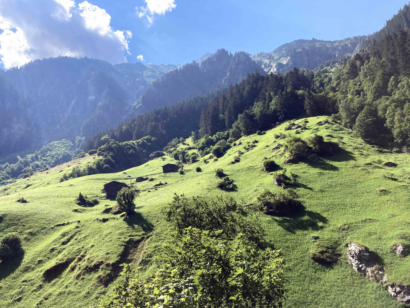 Längsee Heilmoor landscape in Carinthia, Austria